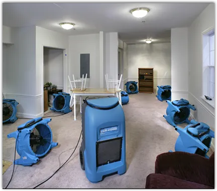 Leak Detection & Repair in Clifton Park, NY