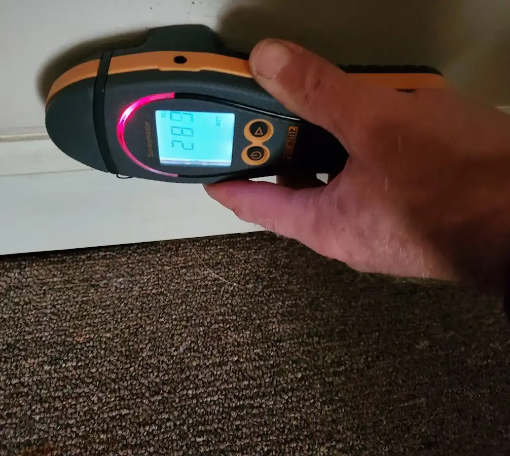 Moisture detection at baseboard during Mold Inspection & Testing in Clifton Park